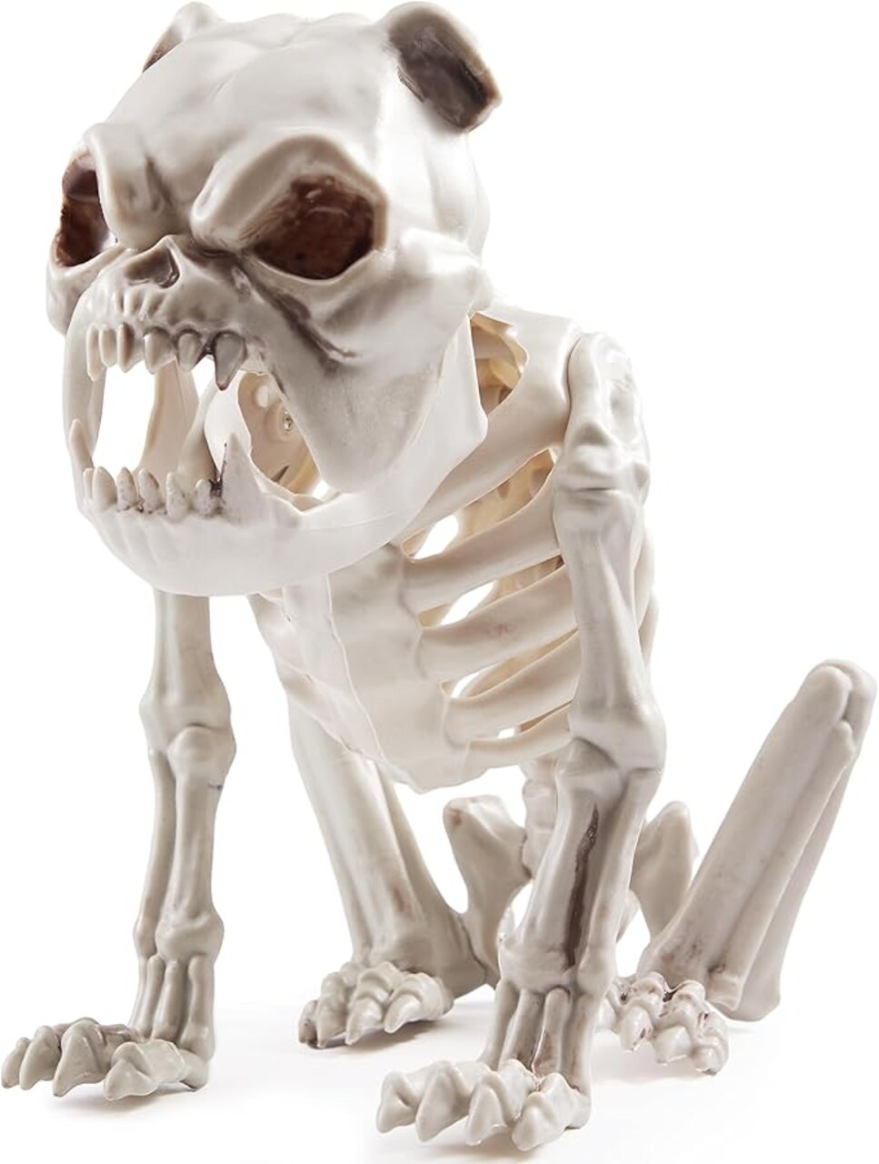 Halloween Plastic Dog Skeleton 8 Inches Puppy Skeleton Plastic Dog Bones with Joints for Prop Spooky Scene Party Favors Decoration
